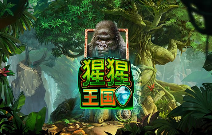 九游会J9